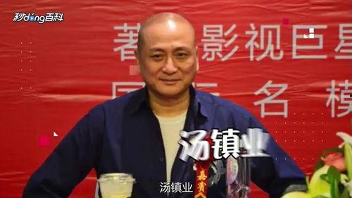 演员汤镇业个人资料,影视界传奇，魅力四射的香港巨星