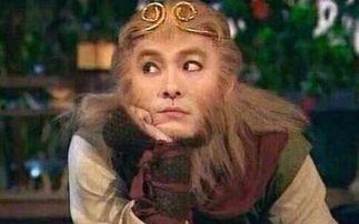 西游记张卫健演员表,经典角色再现