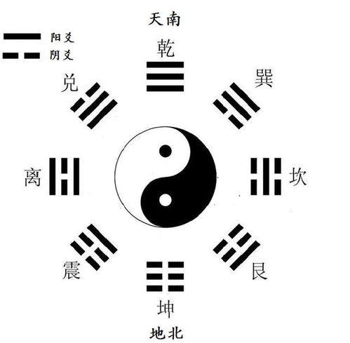 八卦原理视频,揭秘宇宙间神秘力量与生命奥秘